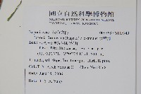 水鴨腳藏品圖，第2張