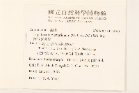 田代氏澤蘭藏品圖，第2張