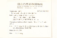 鵝仔草藏品圖，第3張