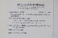 羅氏鹽膚木藏品圖，第2張