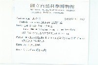 臺灣馬桑藏品圖，第2張