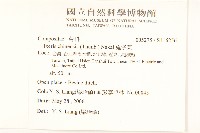 兔仔菜藏品圖，第2張