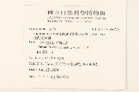 田代氏澤蘭藏品圖，第2張