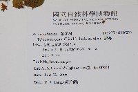 鷗蔓藏品圖，第2張