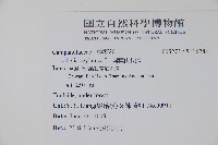 圓葉山梗菜藏品圖，第2張