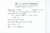 穗花八寶藏品圖，第2張