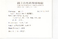 桃葉珊瑚藏品圖，第2張