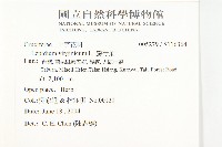 獨行菜藏品圖，第2張