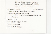 水辣菜、禺毛茛藏品圖，第3張