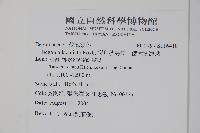 裂葉秋海棠、巒大秋海棠藏品圖，第2張