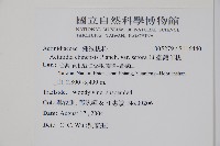 臺灣羊桃藏品圖，第2張