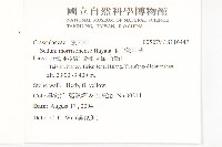 玉山佛甲草藏品圖，第2張