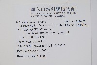 穗花蛇菰藏品圖，第2張