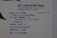 冇骨消藏品圖，第2張