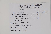 針刺草藏品圖，第2張