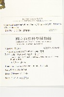 絞股藍藏品圖，第2張