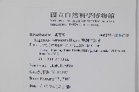 臺灣附地草藏品圖，第2張