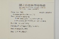 太魯閣艾藏品圖，第2張