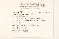 絲綿草藏品圖，第2張