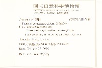 臺灣款冬藏品圖，第2張