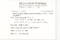 玉山筷子芥藏品圖，第2張