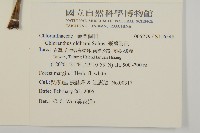 臺灣及己藏品圖，第2張