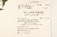 塔山澤蘭藏品圖，第2張