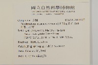 阿里山油菊藏品圖，第2張