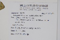 番杏藏品圖，第2張