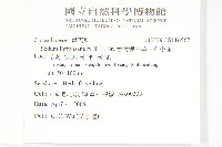 台灣佛甲草、石板菜藏品圖，第2張