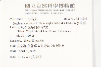 濱萊菔藏品圖，第2張