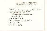 臺灣款冬藏品圖，第2張