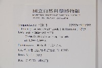 山桔梗藏品圖，第2張