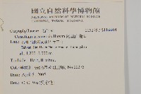 阿里山繁縷藏品圖，第2張