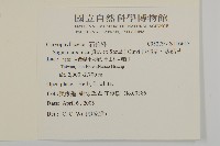 瓜槌草、漆姑草藏品圖，第5張