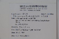 松田氏莢迷、宜昌莢迷藏品圖，第2張