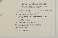 玉山石竹藏品圖，第2張