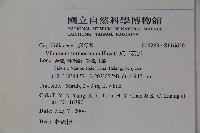 紅子莢迷藏品圖，第2張