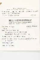 玉山筷子芥藏品圖，第2張