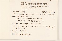 山苦藚、假福王草藏品圖，第2張