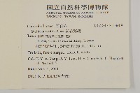 疏花繁縷藏品圖，第2張