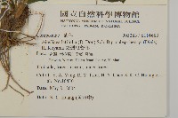 臺灣鬼督郵藏品圖，第2張