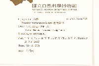 臺灣款冬藏品圖，第2張