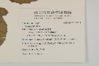 登錄號:S116720藏品圖，第2張