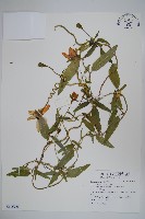 登錄號:S116726藏品圖，第1張