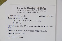 登錄號:S116726藏品圖，第2張