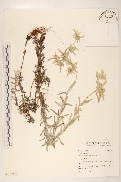 登錄號:S116738藏品圖，第1張