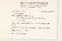 登錄號:S116738藏品圖，第2張