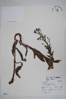 登錄號:S116741藏品圖，第1張