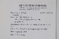 登錄號:S116741藏品圖，第2張